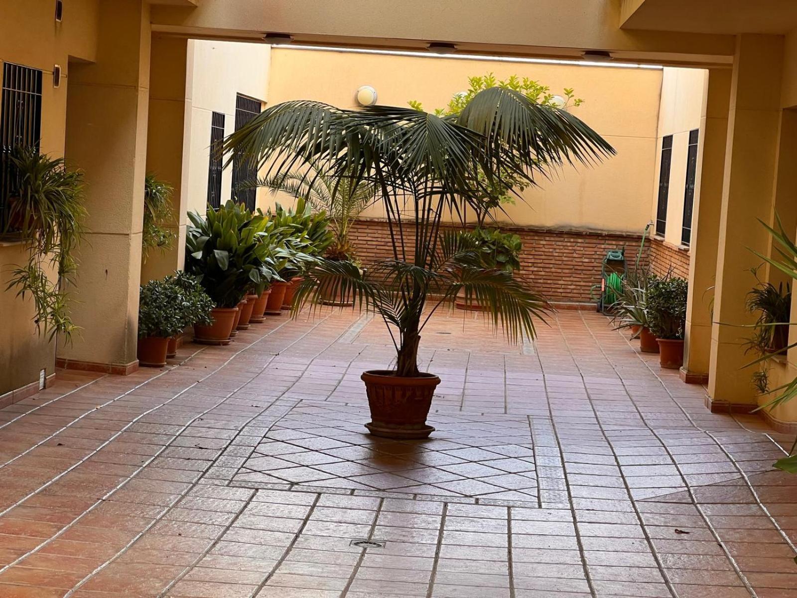 Apartment Turistico La Clase